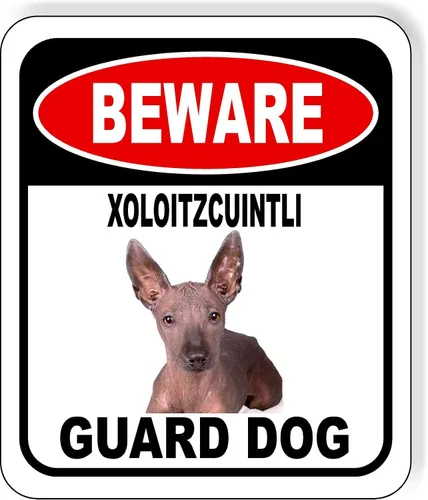 Vista 57 de BEWARE BASSETT HOUND GUARD DOG - Letrero compuesto de aluminio para exteriores, 8.5 x 10 pulgadas