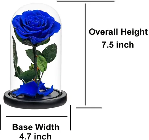 Vista 2 de Rosas preservadas, rosas azul real en cúpula de cristal, flores medianas preservadas para mujer