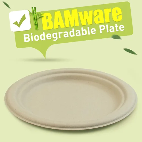 Vista 44 de Green Earth, Platos compostables de 10 pulgadas, 125 unidades, fibras de bambú naturales, vajilla diaria – biodegradable – Desechable forma ovalada