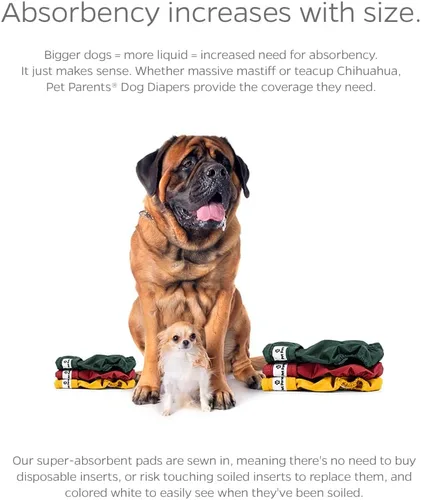 Vista 4 de Pet Parents® - Pañales lavables para perros (3 unidades) + Extendrs® de pañales duraderos para perros, pañales premium para hembras (grande, Samba)