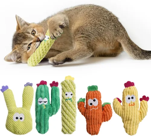 Pawsible Juguetes para Gatos de Interior, 100% Hierba Gatera Orgánica Pura Sin Algodón, Juguete Interactivo de Cactus para Gatito para Alivio de la