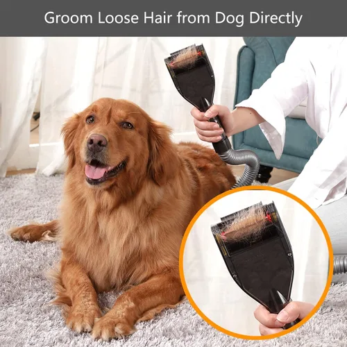 Vista 2 de Cepillo para eliminar el pelo de perros y gatos, peine profesional para quitar pelos como aspiradora, kit de accesorios para Dyson V15 V12 V11 V10