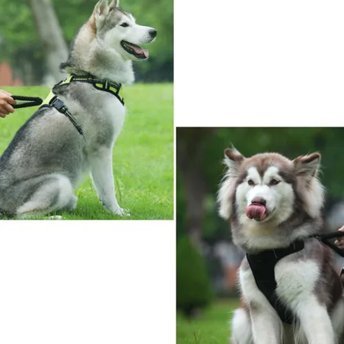 Vista 4 de LIOOBO Reflective Dog Harness Vest No-Pull Outdoor Walking Pet Harness with Adjustable Chest Strap Green XL for Medium to Large Dogs