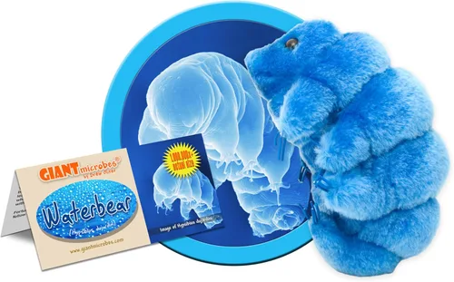 Vista 2 de Peluche de oso de agua (tardígrado) de Giant Microbes