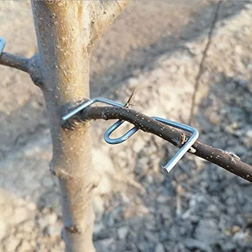 Vista 3 de LEILIN Extractor de ramas de árboles frutales Máquina de atado Herramientas agrícolas Ciruelo Árbol de ángulo abierto Herramienta de flexión