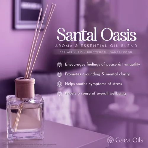Vista 5 de Santal Oasis Aceites aromáticos - Fragancia de aceite esencial para uso con difusores, cañas y más 4 onzas líquidas