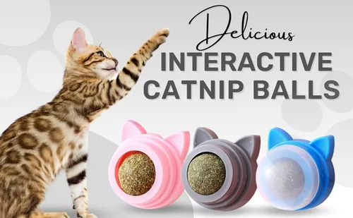 Vista 6 de XanderPets USA - Bolas de hierba gatera que se adhieren a la pared - Nips de gato orgánico - Bolas mágicas para gatos - Planta de hierba gatera