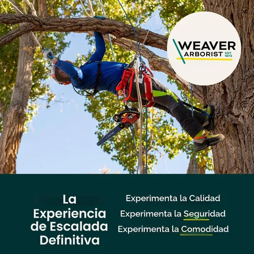 Vista 6 de Weaver Leather WLC 560 2 Dee flotante con correas acolchadas de nailon para las piernas