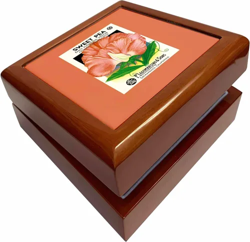 3dRose Sweet Pea Early Flowering Spencer Apollo-Salmon Cerise, Jewelry Box jb-170821-1