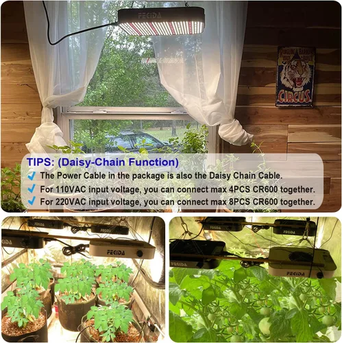 Vista 7 de FECiDA Luz LED de crecimiento equivalente a 600 W, luz de espectro completo de 65 W, 0 a 100% regulable, cadena de margarita, ventilador