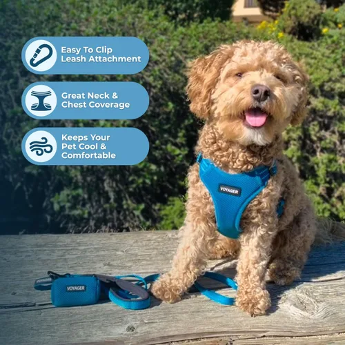 Vista 6 de [Usado] Best Pet Supplies Voyager - Arnés ajustable, transpirable, antitirones, para perros pequeños, medianos y grandes, para caminar, trotar Base