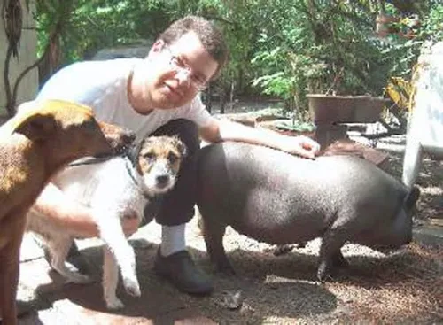 Vista 2 de Basset Hound Raiding the Fridge Dog Art Print modern folk kitchen art giclee archival