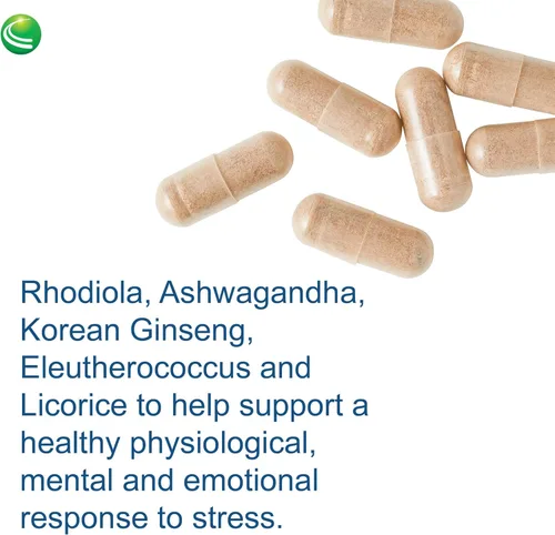 Vista 5 de Nutra BioGenesis - BioAdaptogen Ultra - Ashwagandha, Rhodiola y Ginseng coreano para ayudar a apoyar la respuesta al estrés y la salud