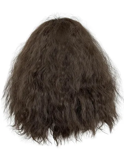 Vista 5 de Peluca larga y rizada marrón con peluca de mago de barba, esponjosa, accesorios para disfraz de cosplay, accesorios de fiesta de Halloween, hombres