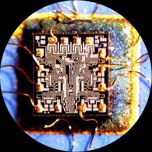 Vista 7 de AmScope Cámara de microscopio USB 2.0 de 1.3 MP con lente de reducción + software + 2 adaptadores de montaje (Windows XP/Vista/7/8/10/Mac OS X/Linux)