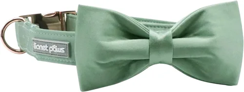 Vista 4 de Lionet Paws Collar de perro con pajarita, cómodo collar de seda verde para perro con pajarita desmontable para cachorros y gatos, cuello de 8 a 12