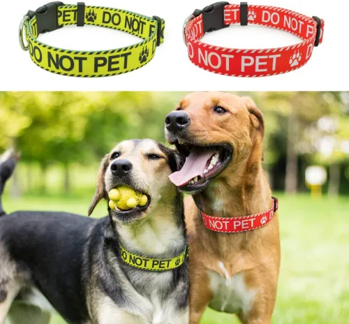 Vista 5 de Collar de perro para no mascotas, resistente, duradero con hebilla, collares rojos para perros pequeños, medianos y grandes, collar de poliéster