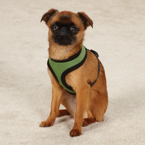 Vista 3 de Casual Canine Arnés de malla para perro, talla XS, negro