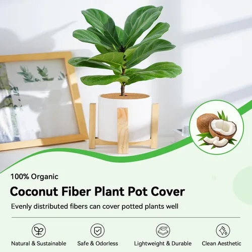 Vista 2 de ZeeDix Paquete de 3 anillos de mantillo de fibra de coco, anillo de coco de 14 pulgadas, tapete de mantillo de árbol de coco 100% natural, protector