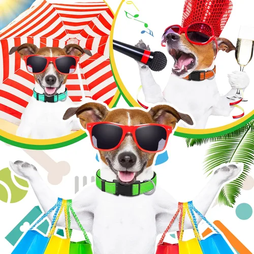 Vista 4 de 6 piezas de collar reflectante para perro, suave, acolchado, transpirable, ajustable, de nailon para mascotas, con hebilla de bloqueo de seguridad