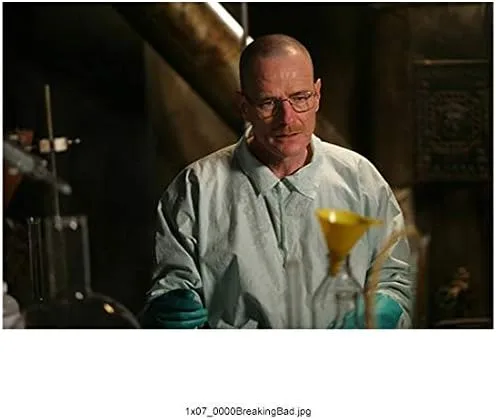 Bald Bryan Cranston in lab (Walter White-Breaking Bad) - 8 inch x10 inch PHOTOGRAPH Performer & Actor Color PHOTOGRAPH-CJ