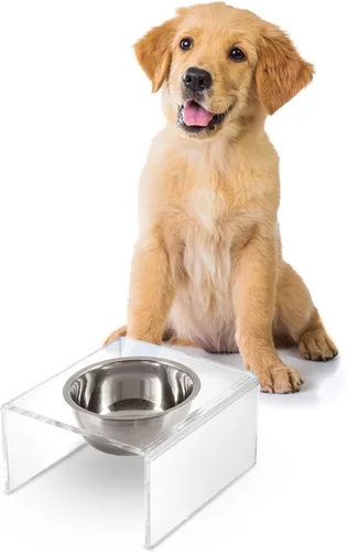 DBL2002A Keaton 5" Pequeño/Mediano Comedero Elevado Moderno de Acrílico Rectangular para Mascotas con Tazón de Acero Inoxidable de 20oz