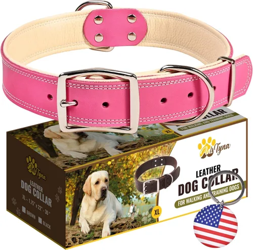 Vista 18 de ADITYNA Collar de perro de cuero negro resistente para perros pequeños, acolchado suave para mayor comodidad, collar de perro pequeño para caminar