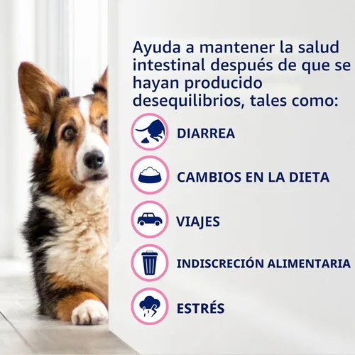 Vista 5 de Nutramax Probióticos Proviable para perros, Suplemento diario de salud digestiva con múltiples cepas de bacterias, probióticos para perros más