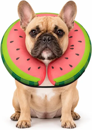 MIDOG Collar de Dona Inflable Suave para Perro, Collar de Dona Electrónico Alternativo para Después de la Cirugía, Previene la Lamedura, Permite