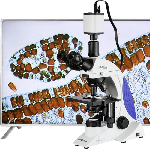 Vista 2 de AmScope HD1080A 1080p Full HD HDMI Microscopio Cámara