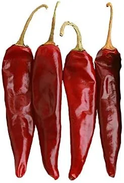 Vista 3 de Guajillo Pepper Medio Hot 10 Semillas - Raro y sin OGM - Fácil de cultivar
