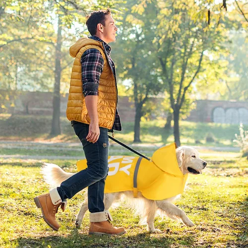 Vista 6 de GreenJoy Impermeable para perros con bonito estampado, impermeable, reflectante, ajustable para perros pequeños, medianos y grandes