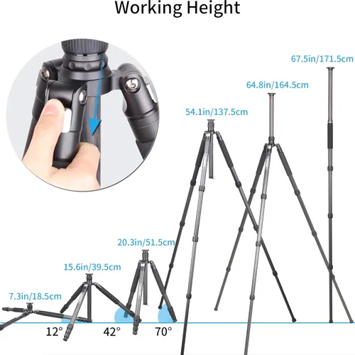 Vista 6 de Trípode de Fibra de Carbono - INNOREL RT75C Sin Cabeza de Bola Trípode Super Profesional Monopié Resistente Trípode Compacto Soporte de Stand