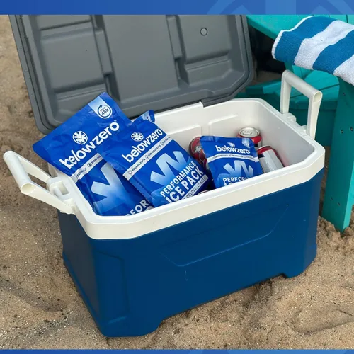 Vista 6 de Below Zero Paquetes de hielo precargados reutilizables para enfriadores Bloques de hielo de congelador de larga duración para acampar, bolsas