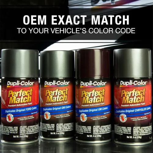 Vista 5 de Dupli-Color EBFM03617 Perfect Match Aerosol para automóviles, Ford Silver Birch, JP - Lata de aerosol de 8 onzas