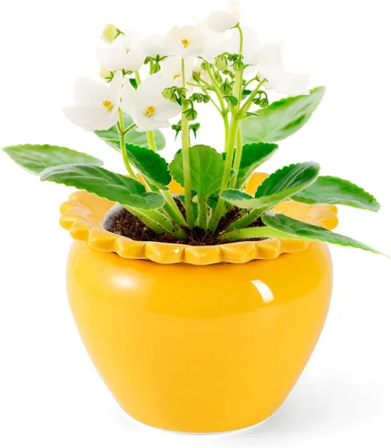 Vista 13 de Maceta para Flores Violeta Africana Verde de Cerámica con Riego Automático 6.5 * 4.6 * 4 pulgadas Maceta Simple para Plantas con Riego Automático
