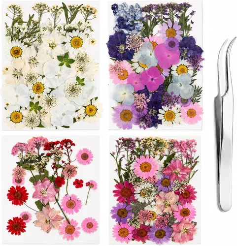 Vista 10 de 136 piezas de flores prensadas para resina con pinzas curvadas