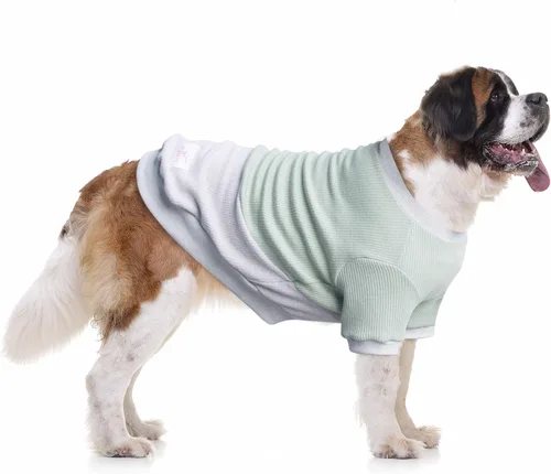 Vista 26 de Camisetas a rayas para perros medianos, ropa sin mangas, camiseta sin mangas, chaleco para Schnauzer, Shiba Inu, rojo, grande