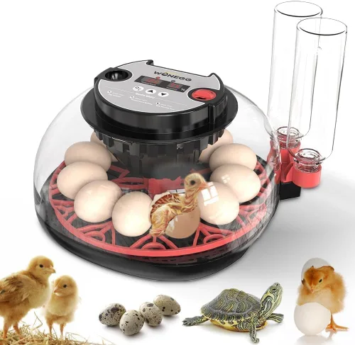 Vista 17 de Incubadora de 48 Huevos con Giro Automático y Control de Humedad Incubadora Digital de Aves de Corral para Huevos de Pollo, Pato, Codorniz, Ideal