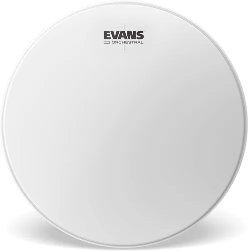 Evans Cabeza de Timbal (ET20)