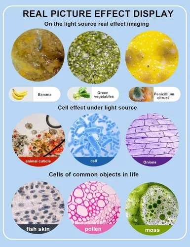 Vista 2 de Microscopio trinocular para adultos WF10x y lentes WF25x 40X-5000X de magnificación, microscopio LED trinocular compuesto de laboratorio digital