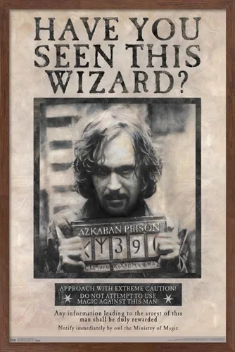 Vista 17 de Trends International El Mundo Mágico: Harry Potter - Póster de Buscado de Sirius Black, Póster de Pared, 14.725" x 22.375", Versión con Marco