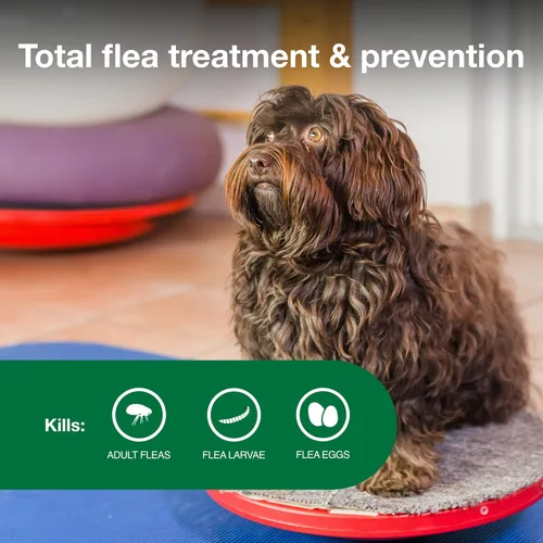 Vista 4 de Tratamiento y prevención de pulgas recomendado por veterinarios para perros pequeños Advantage II Perros de 3 a 10 libras. Suministro para 4