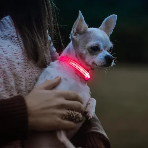Vista 6 de Collares de perro con luz Visinite para perros pequeños, collar de perro LED recargable, collar de perro iluminado totalmente ajustable, collares