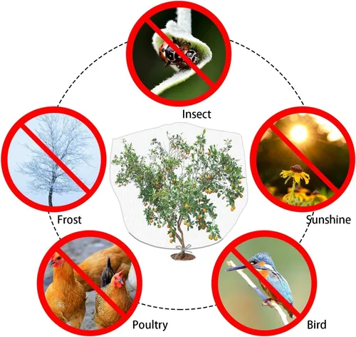 Vista 4 de Malla de barrera de insectos de 6 x 7 pies con cordón de ajuste, cubierta para plantas para proteger plantas, frutas, flores de insectos que se