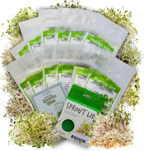 Handy Pantry Surtidos de semillas orgánicas para germinar – Microgreens, paquete variado de semillas de brotes (paquete de 12 – premedidas)