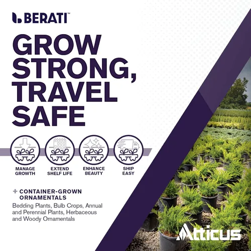 Vista 2 de Atticus Berati Regulador de crecimiento de plantas ornamentales (32 onzas) - 0.4% de paclobutrazol - Controla el crecimiento de plantas en viveros