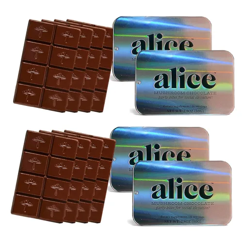 Vista 11 de Alice Mushrooms Brainstorm Chocolates de Hongos Bocados Energéticos para Concentración, Claridad y Función Cognitiva Melena de León, Hongos