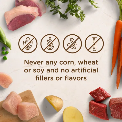 Vista 4 de Rachael Ray Nutrish Alimento húmedo natural premium para perros receta de estofado de pato rústico bañera de 8 onzas