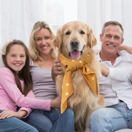Vista 7 de SATINIOR 8 bandanas para perro, a cuadros, lunares, primavera, bandana triangular, suave, lavable, ajustable, accesorios para gatos pequeños
